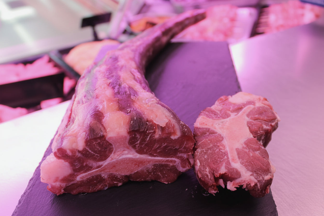 Bovine tail