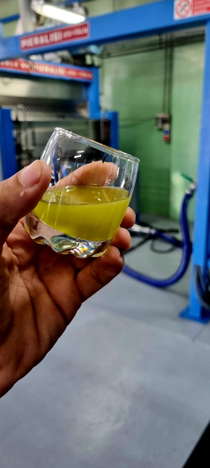 Hand holding a glass of vibrant green extra virgin olive oil in a processing facility.