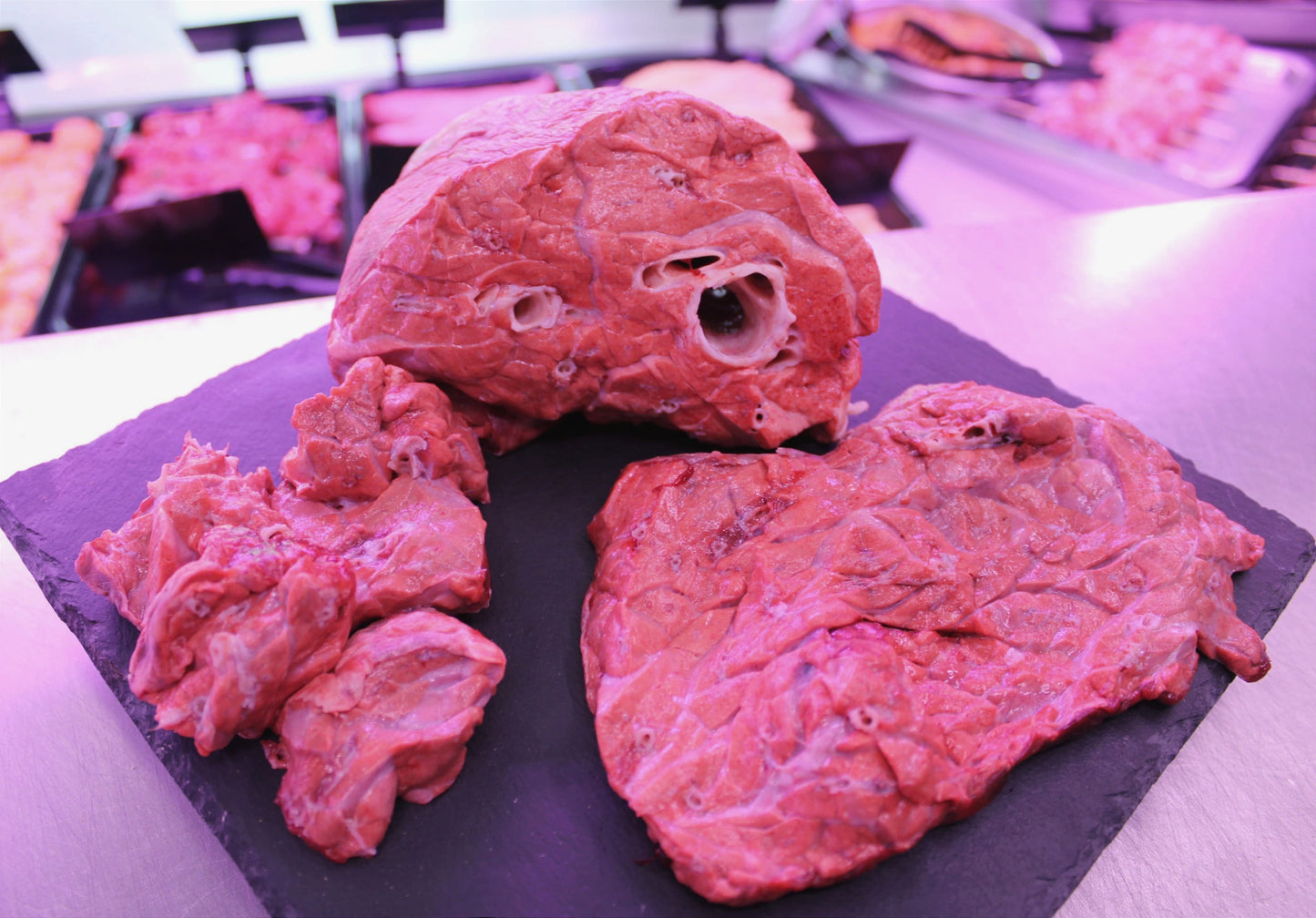 Bovine lung